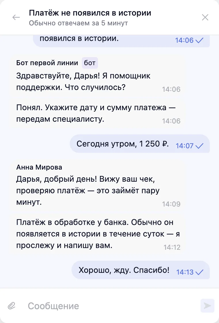 Чат на сайте глазами клиента